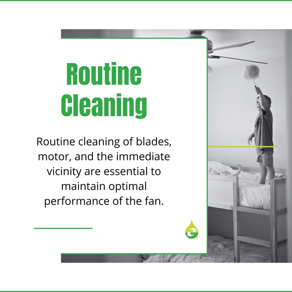 Routine Cleaning