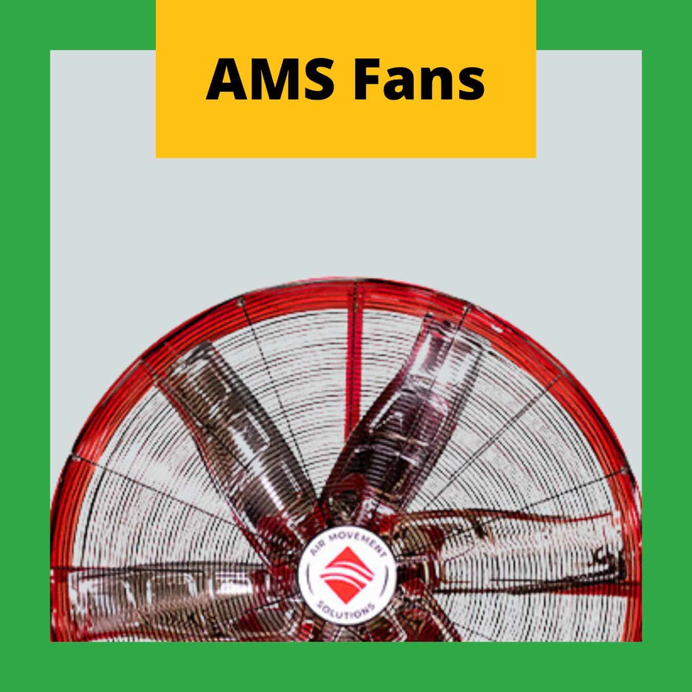 AMS Fans